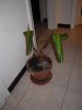 DSCN0649 (Medium)..JPG