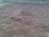 IMG00051-20100412-1&.jpg