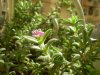 DSCN8360.jpg DSCN8360.jpg