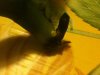IMG_0235.jpg IMG_0235.jpg