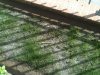 Immagine 008.jpg