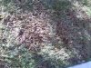 IMG_20140215_103037.jpg