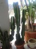 2013-04-06 17.21.54.jpg