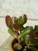 20140226_153621.jpg