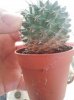 20140226_153653.jpg