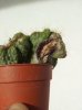 20140226_153729.jpg