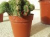 20140226_153805.jpg