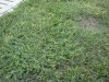 IMG070.jpg
