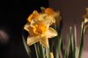 Optimized-IMG_3114.jpg Optimized-IMG_3114.jpg