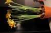 Optimized-IMG_3115.jpg Optimized-IMG_3115.jpg