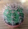 20140316_150948.jpg