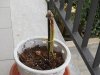 DSCN1980.JPG