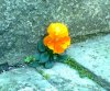 Foto0533.jpg