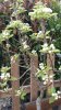 20140321_135915.jpg