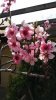 20140321_140045.jpg