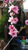 20140321_140038.jpg