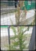 2014-03-27 14.36.43.jpg