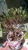 WP_20140329_006.jpg
