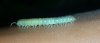 20140330_232155.jpg