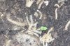 20140330_232209.jpg