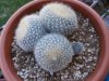 P3170002rid.jpg