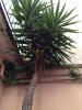 IMG_0284.jpg IMG_0284.jpg