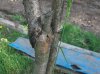 100_1813.jpg 100_1813.jpg
