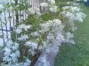 Foto 3.jpg