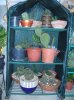 DSCN5857.jpg