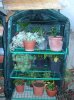 DSCN5858.jpg