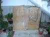DSCN5860.jpg