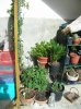 DSCN5867.jpg