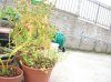 DSCN0003.jpg