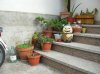 DSCN5861.jpg