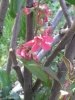 20140410_153226.jpg 20140410_153226.jpg