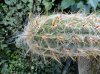 DSCN6590.jpg