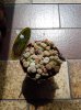 DSCN1622.jpg