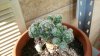 100_1599.jpg