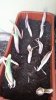 20140414_190415.jpg