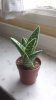 20140412_152819.jpg