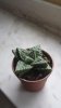 20140412_152904.jpg