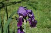 DSC_0903.jpg