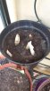 20140425_144827.jpg