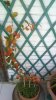 DSC_0013 res.jpg