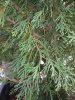 20140502_111121 (FILEminimizer).jpg
