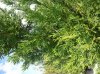 20140502_111202 (FILEminimizer).jpg