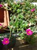 20140505_140845.jpg