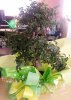20140505_170347.jpg