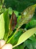 20140508_163625.jpg