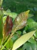 20140508_163628.jpg